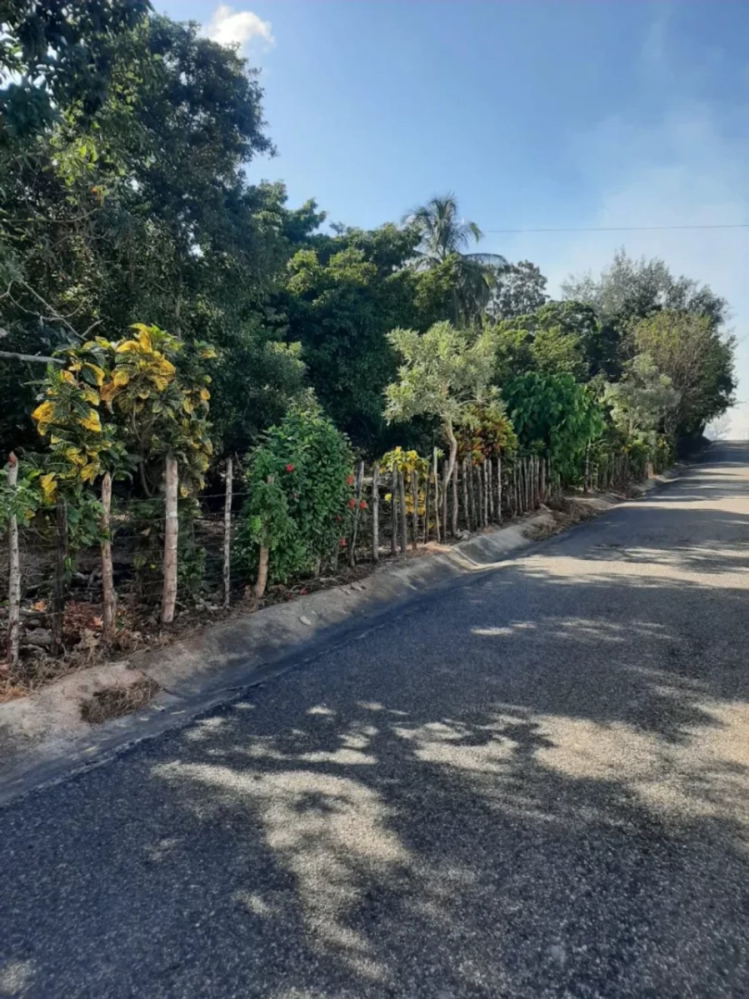 Solar en San Gregorio de Nigua, foto 5