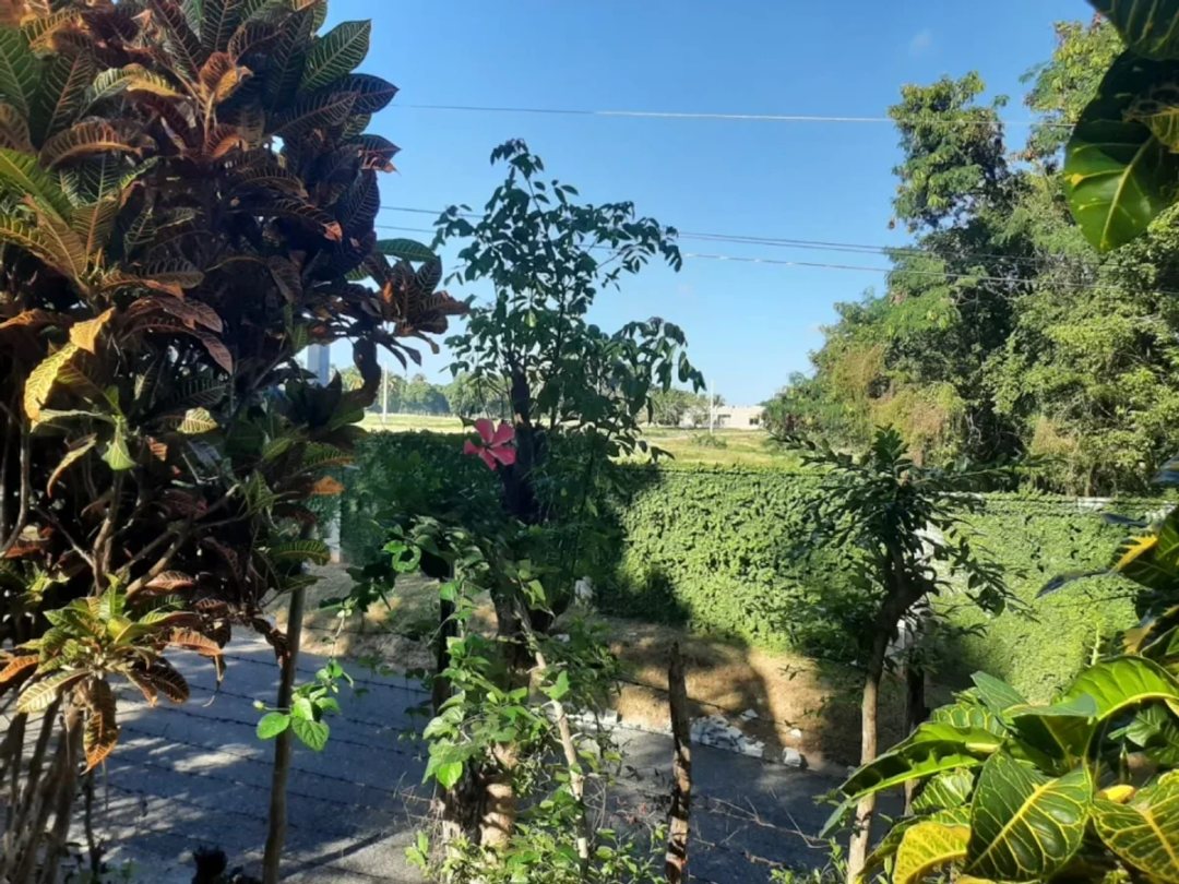 Solar en San Gregorio de Nigua, foto 2