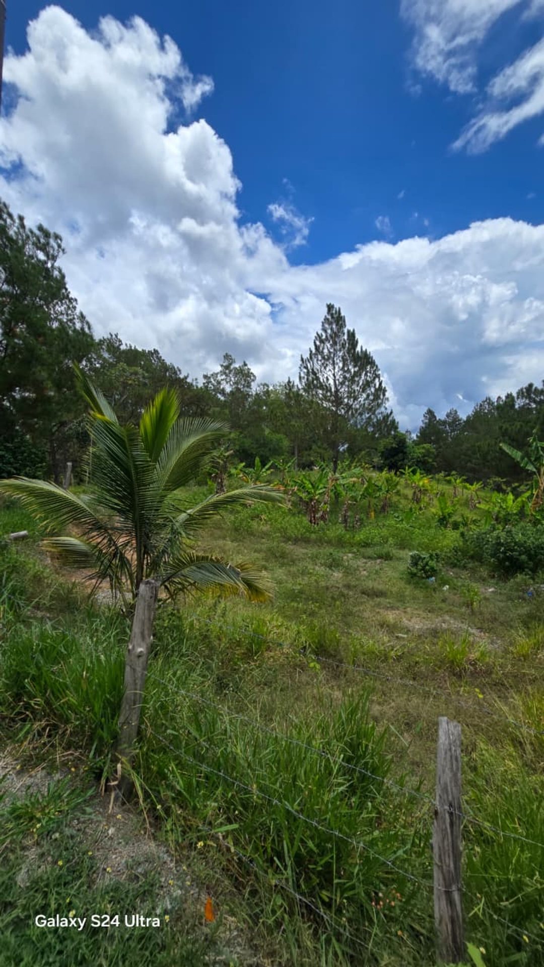 Solar en Jarabacoa, foto 5