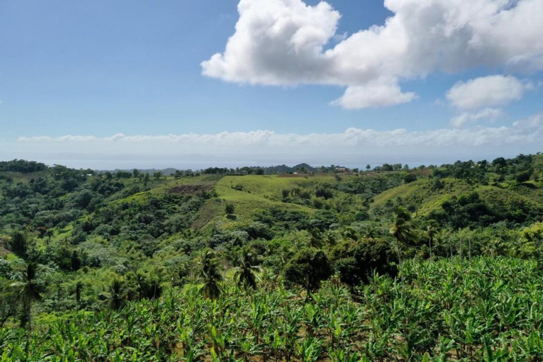 Solar en Samaná, Juana Vicenta, foto 2