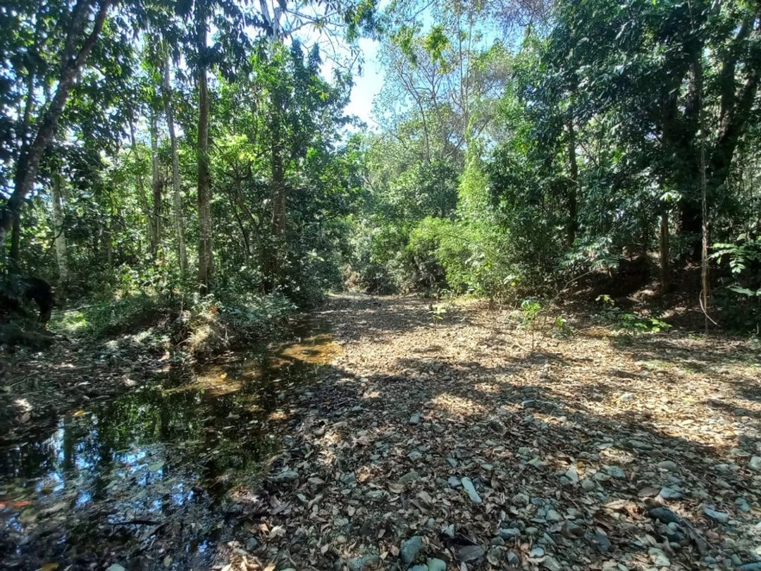 Solar en Arroyo Mosquito, San Cristóbal, foto 4