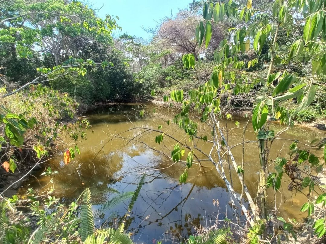 Solar en Arroyo Mosquito, San Cristóbal, foto 5