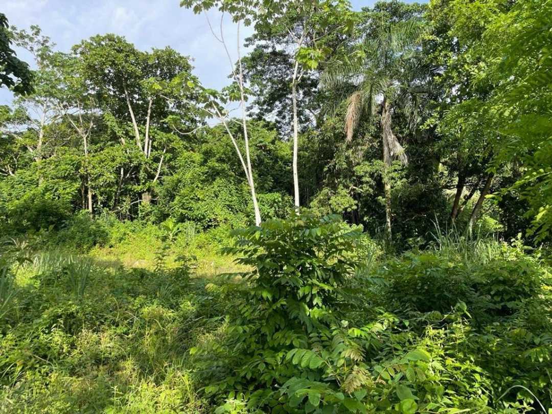 Solar en Villa Altagracia, foto 4