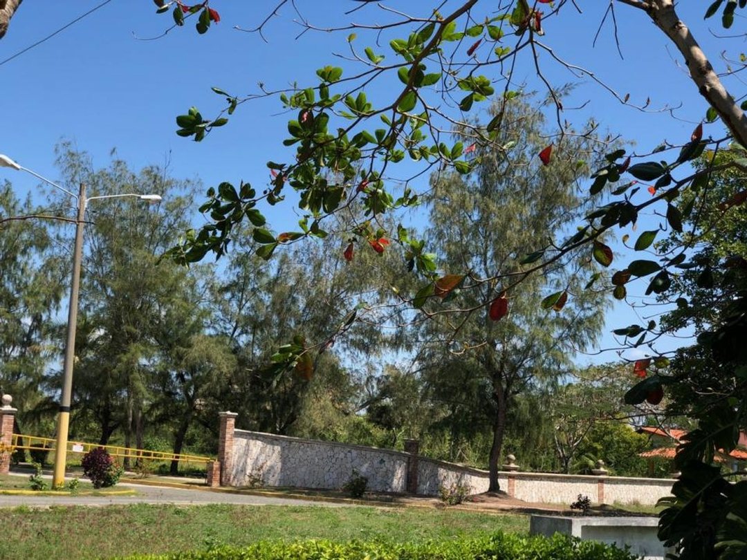 Solar en Guayacanes, foto 2