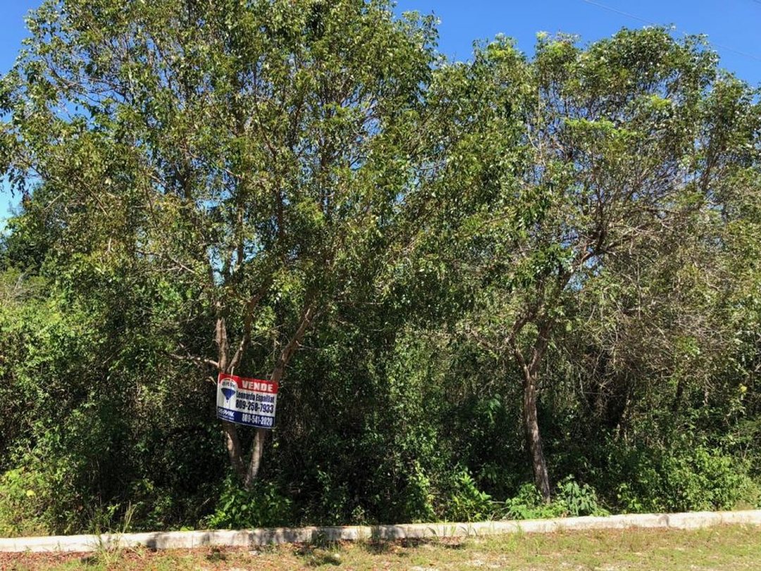 Solar en Guayacanes, foto 5