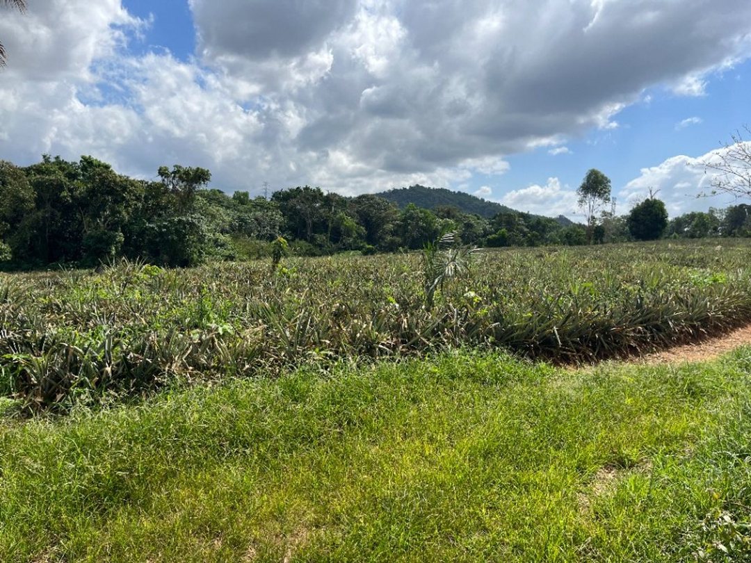 Solar en Zambrana Arriba, Cotuí, foto 4