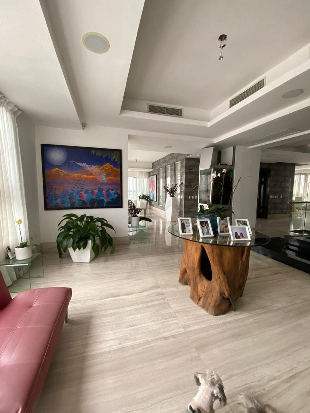Penthouse en Los Cacicazgos, foto 2