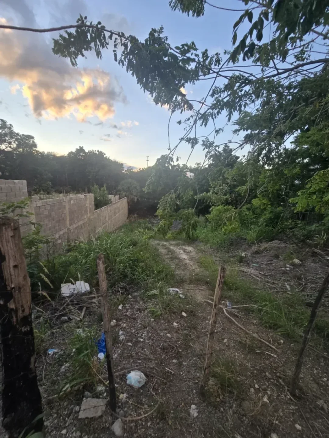 Lot in Cerro Alto
