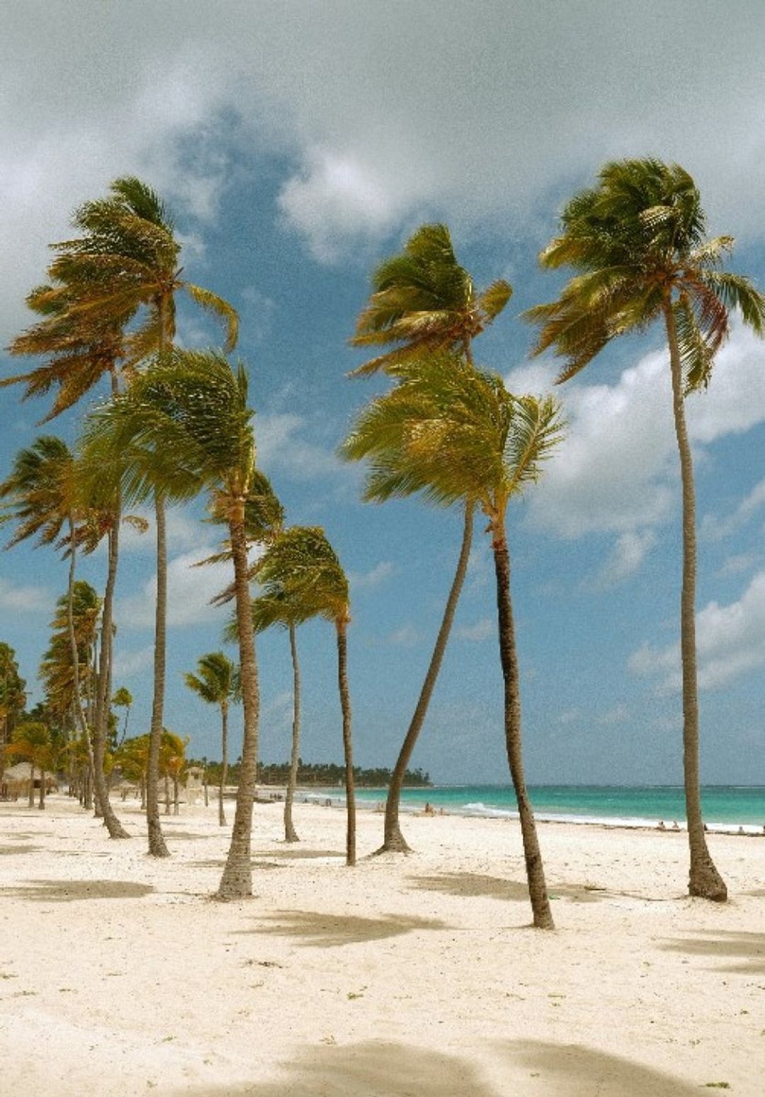 Casa en Punta Cana Village, foto 4