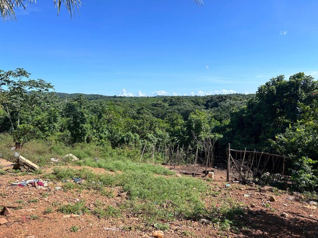 Lot in El Pedregal