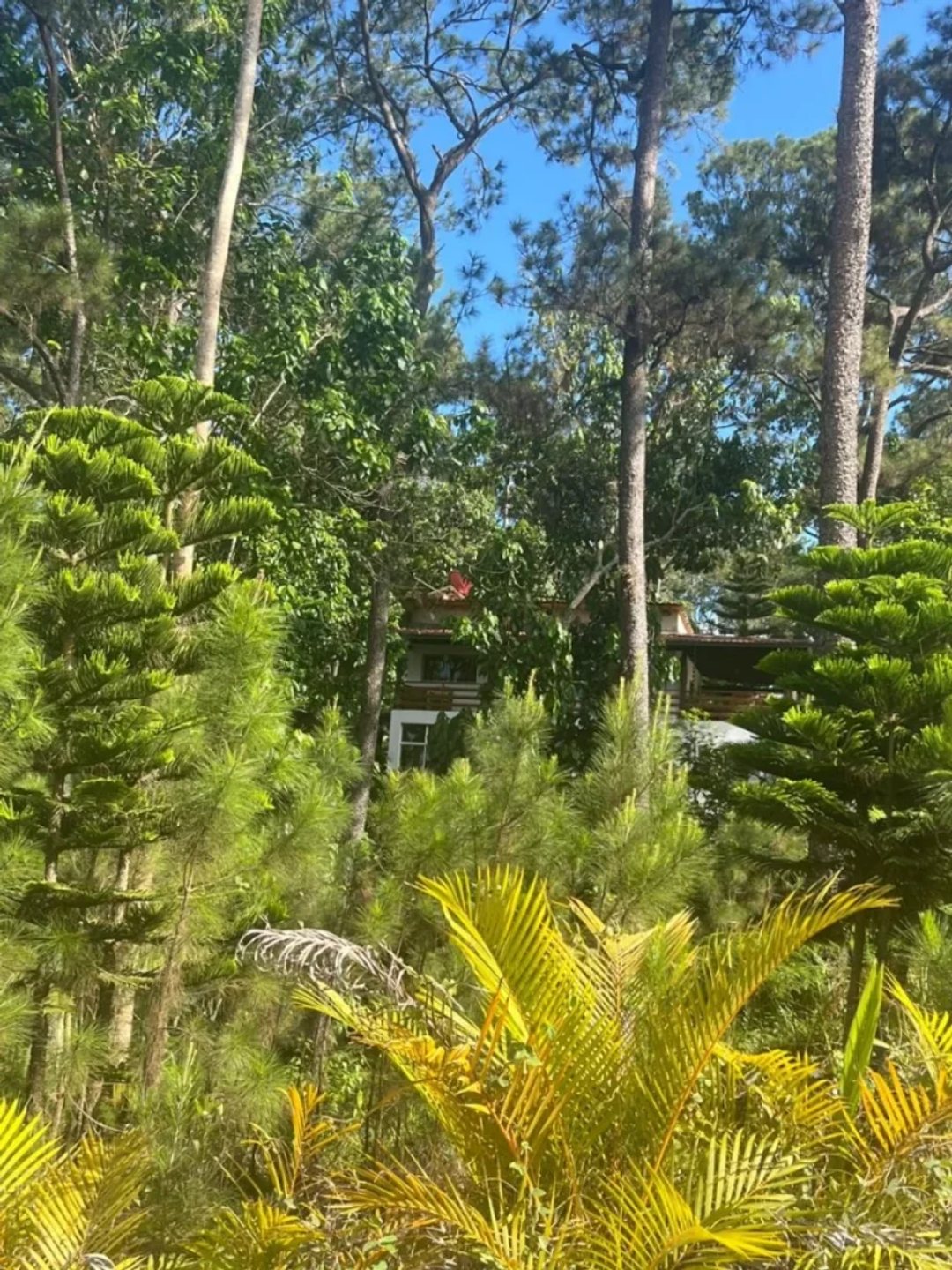 Solar en Jarabacoa (Centro), foto 5
