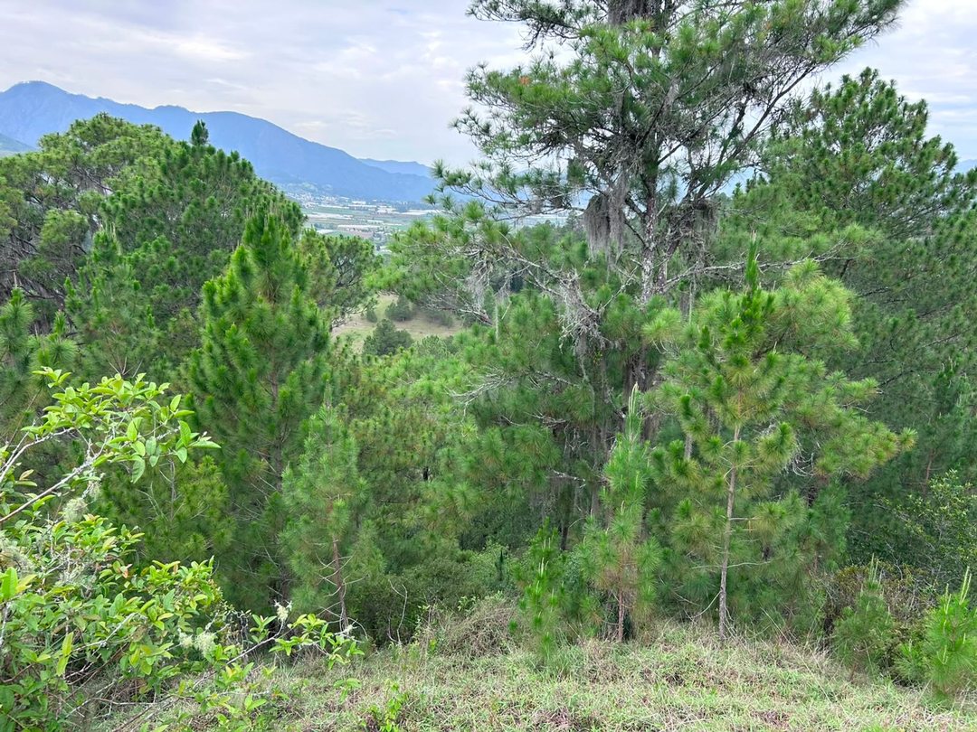 Solar en Constanza, foto 4