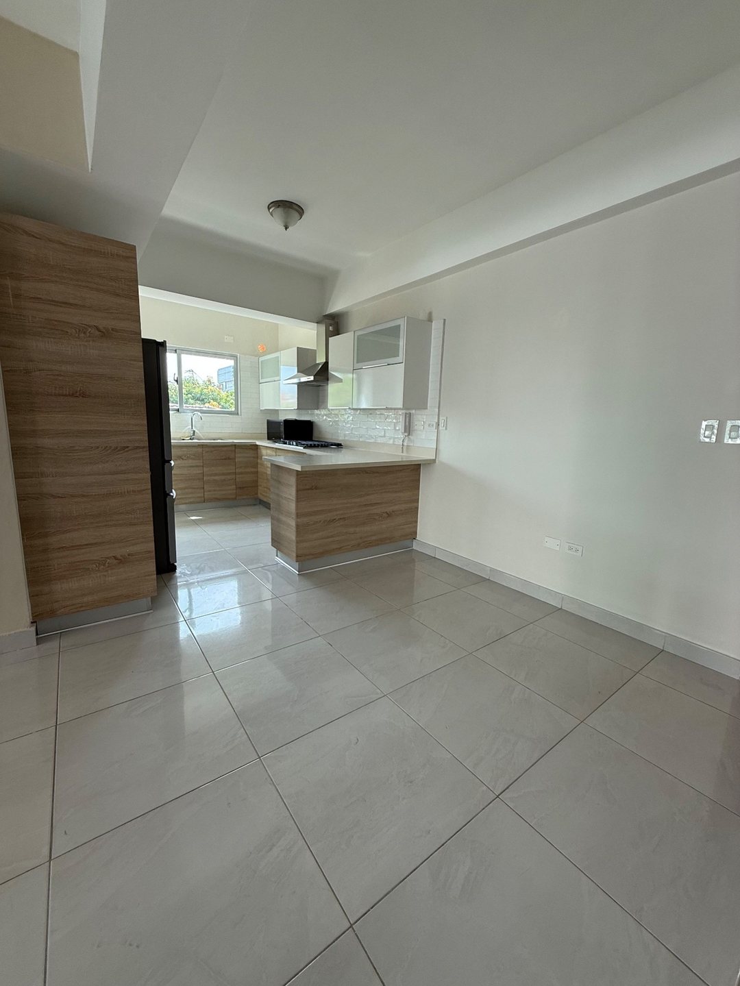 Apartamento en Piantini, foto 5