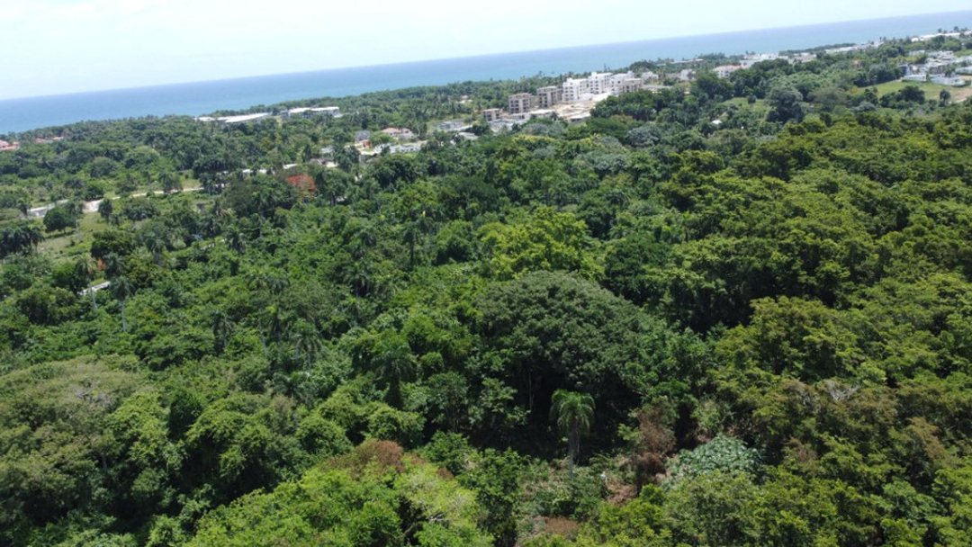 Solar en Cabarete, foto 3