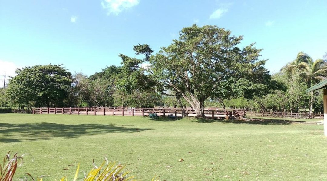 Solar en Cabarete, Sosúa, foto 2