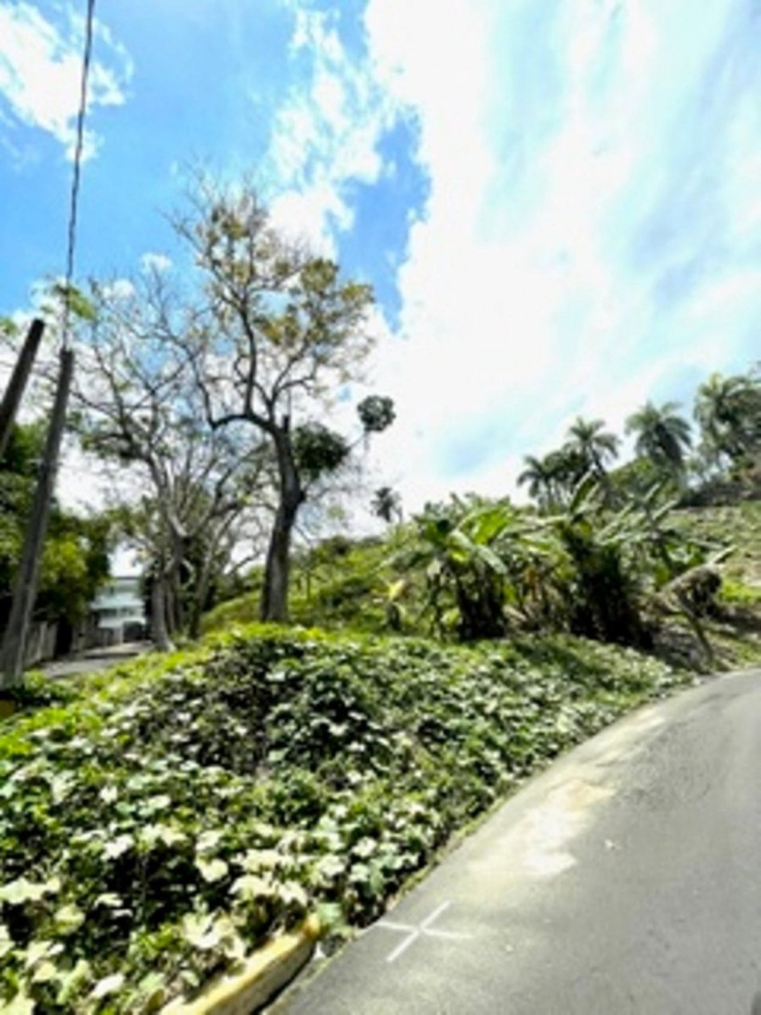 Casa en Los Pinos, foto 2