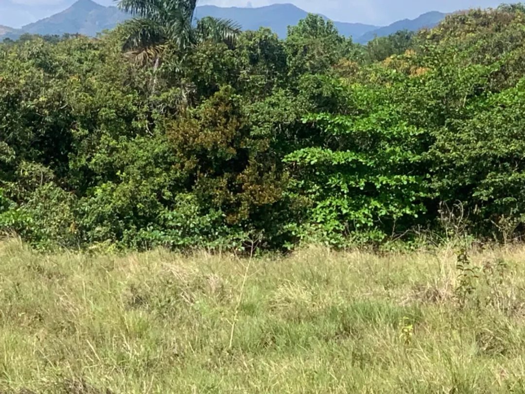 Solar en San Gregorio de Nigua, foto 2