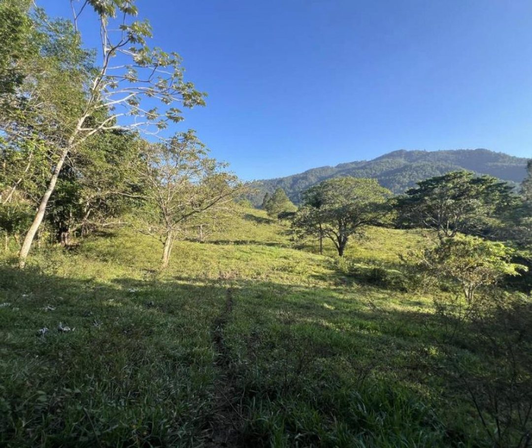 Solar en Jarabacoa, foto 2