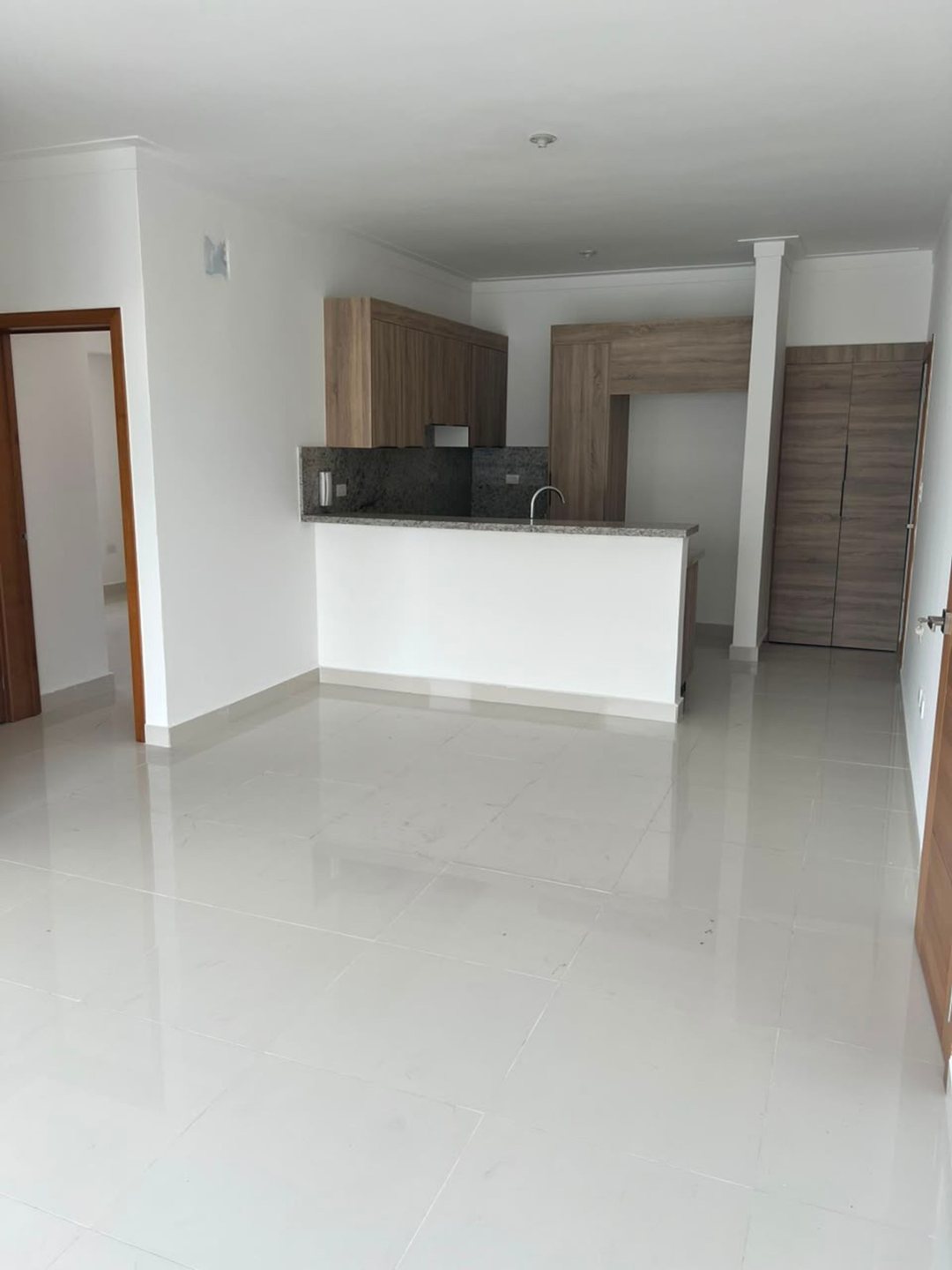 Apartamento en Renacimiento, foto 2