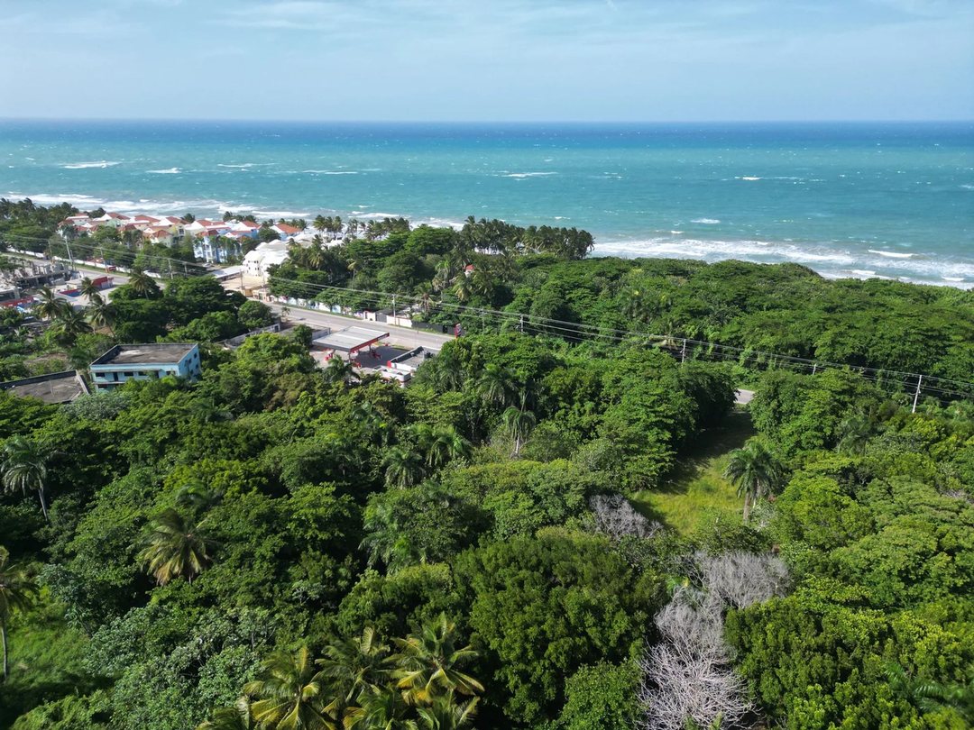 Solar en CABARETE, foto 2