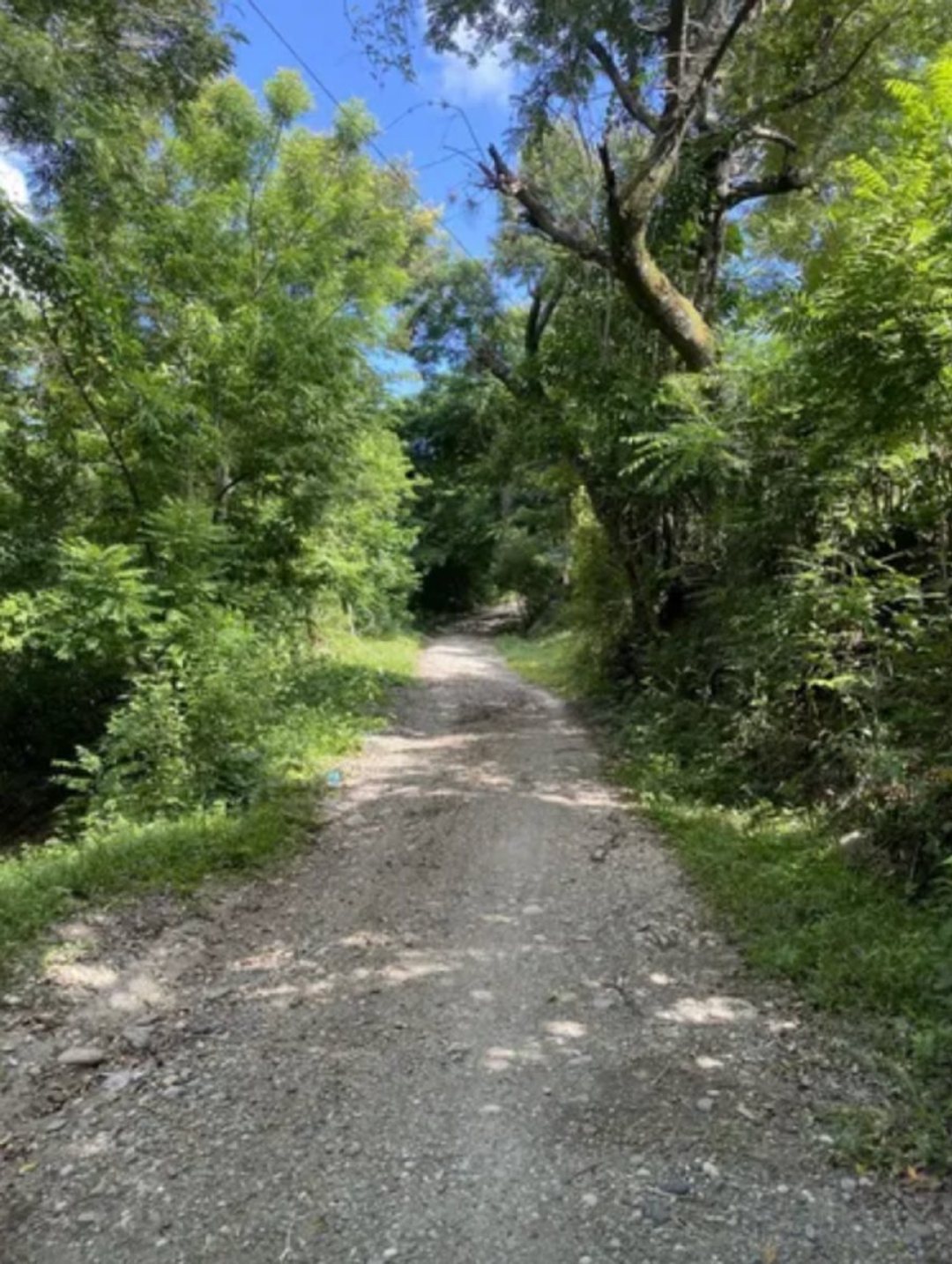 Lot in Santa Rosa