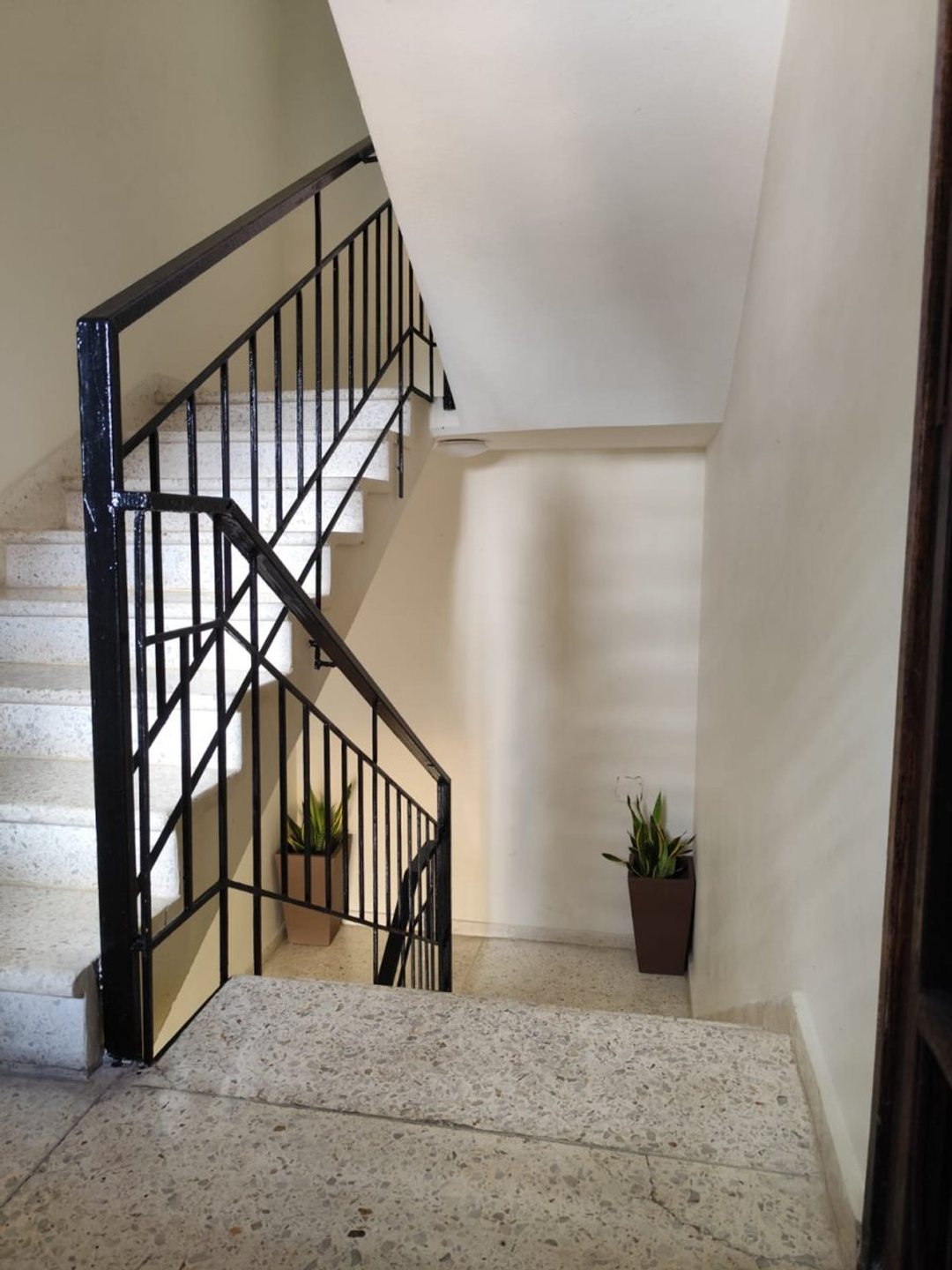 Apartamento en Bella Vista, foto 4