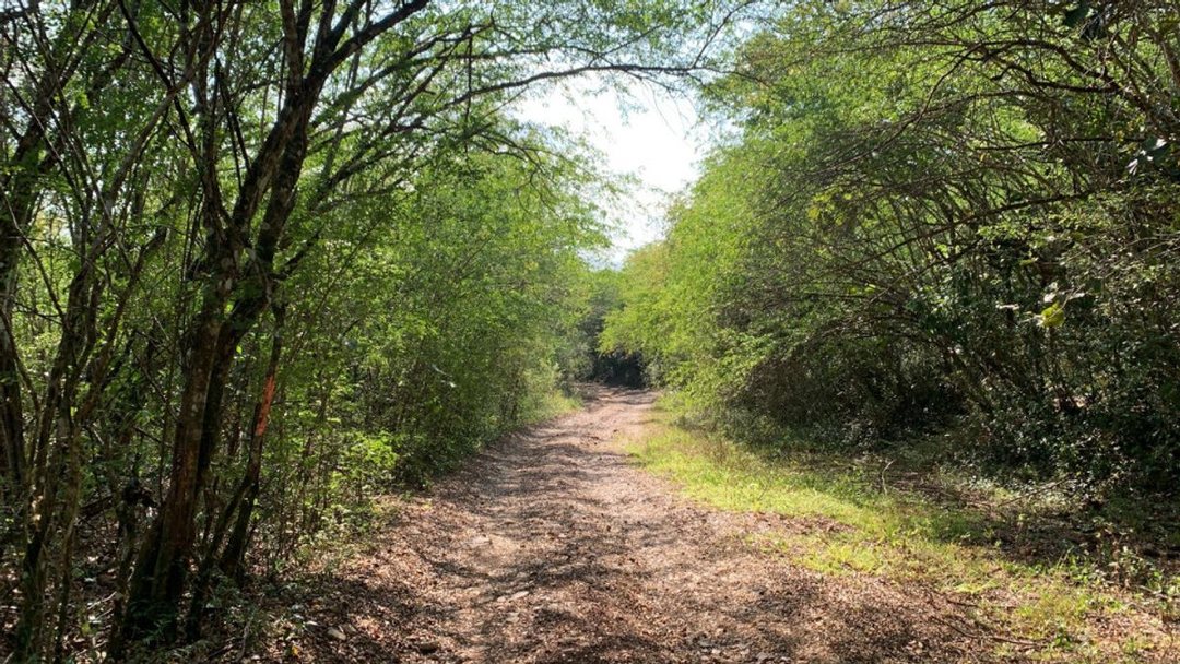 Lot in Villa Mella