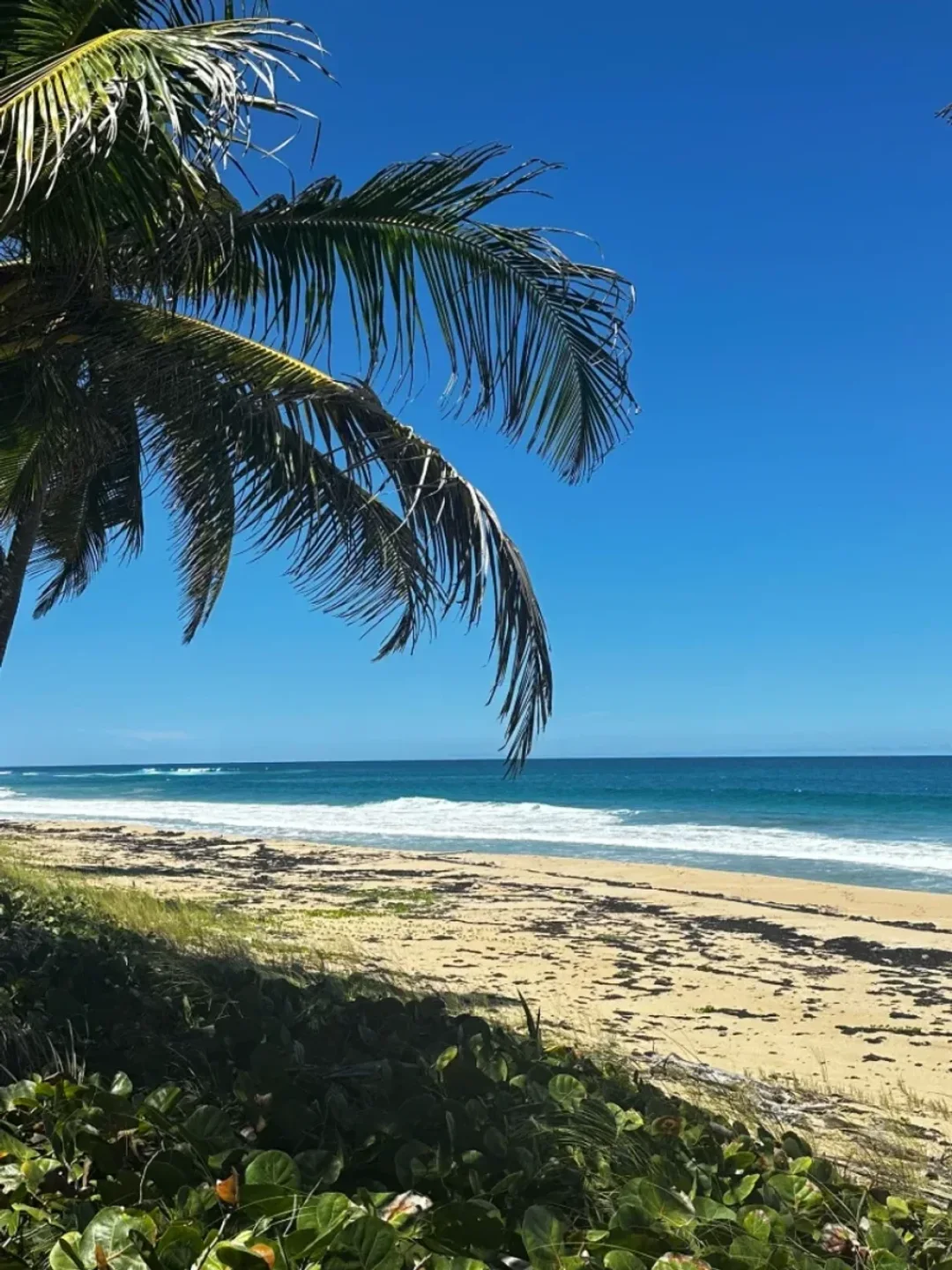 Solar en Sabana de Nisibón, foto 4