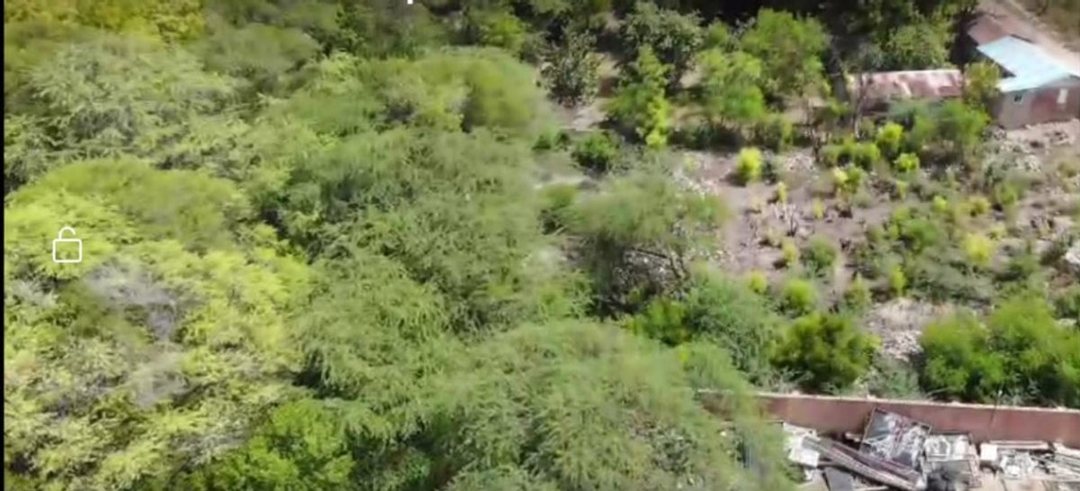 Solar en Pedernales, foto 5