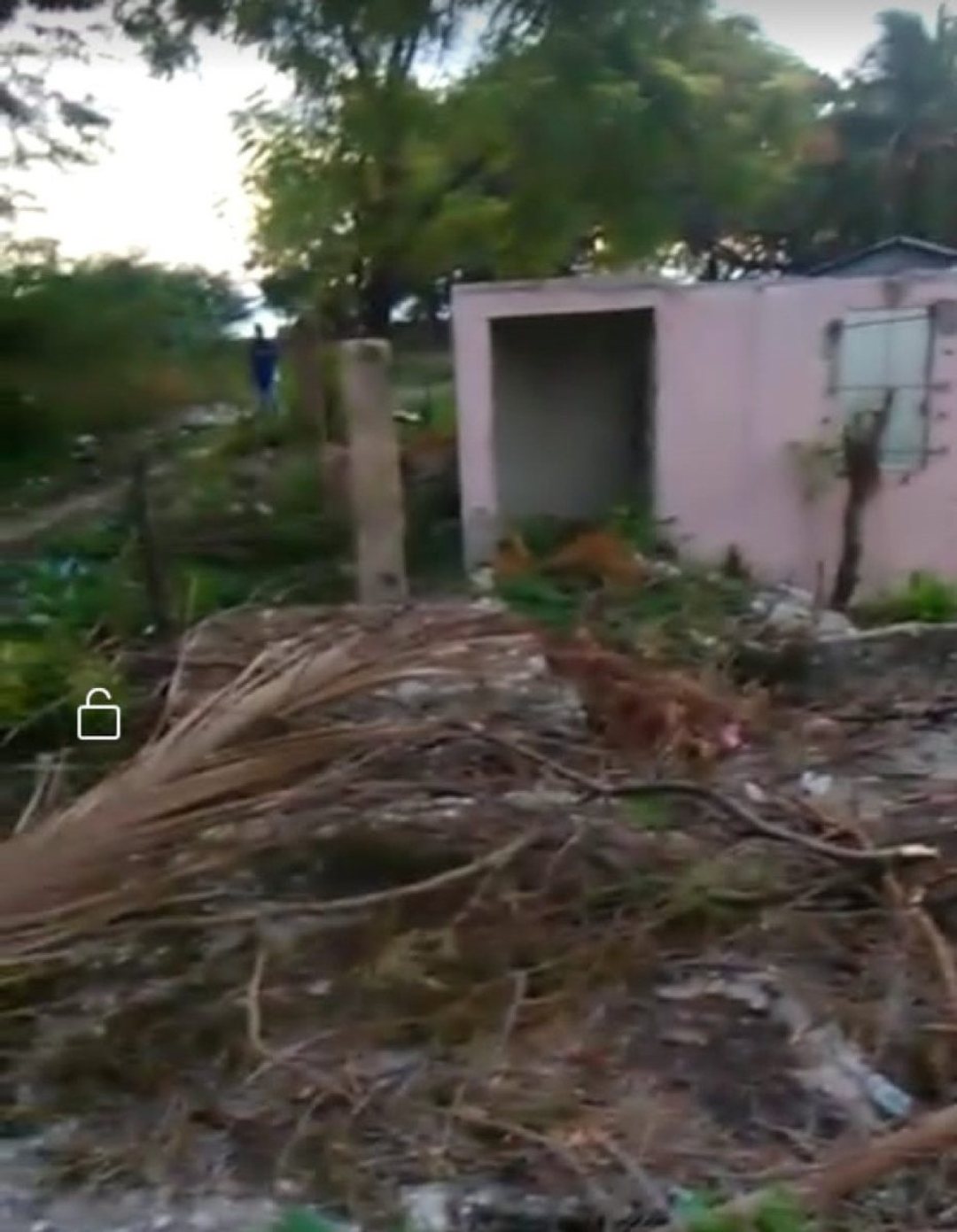 Solar en Pedernales, foto 3