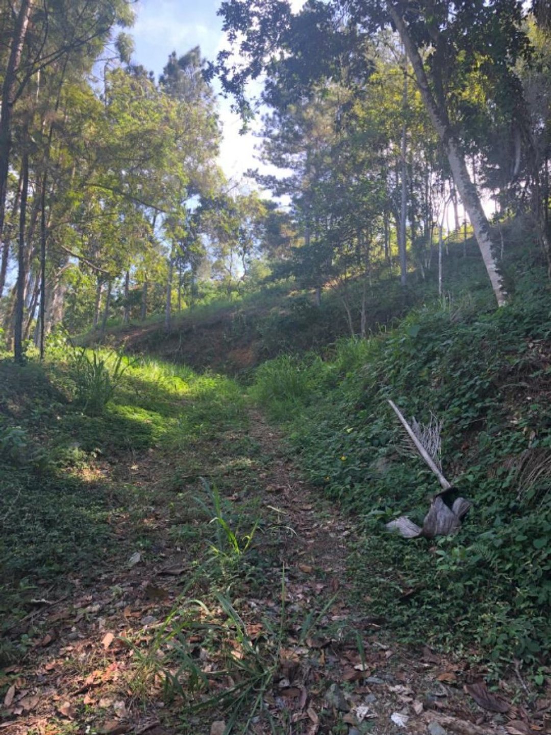 Solar en Quintas del Bosque Jarabacoa, foto 4
