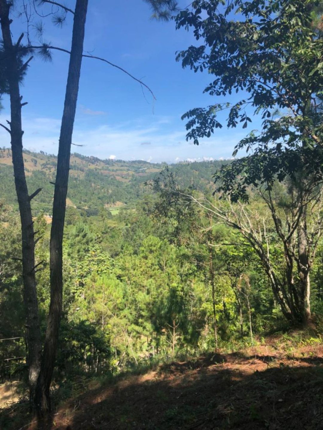 Solar en Quintas del Bosque Jarabacoa, foto 2