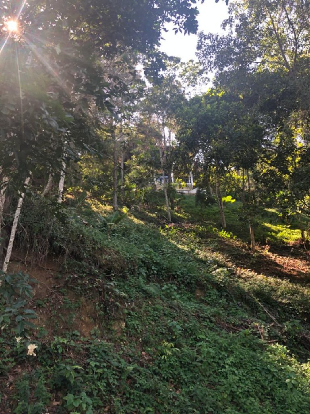 Solar en Quintas del Bosque Jarabacoa, foto 5