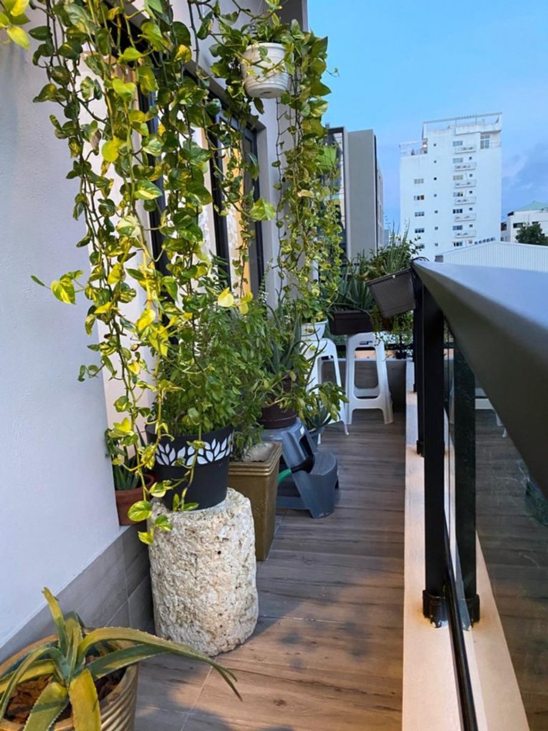 Apartamento en Piantini, foto 4