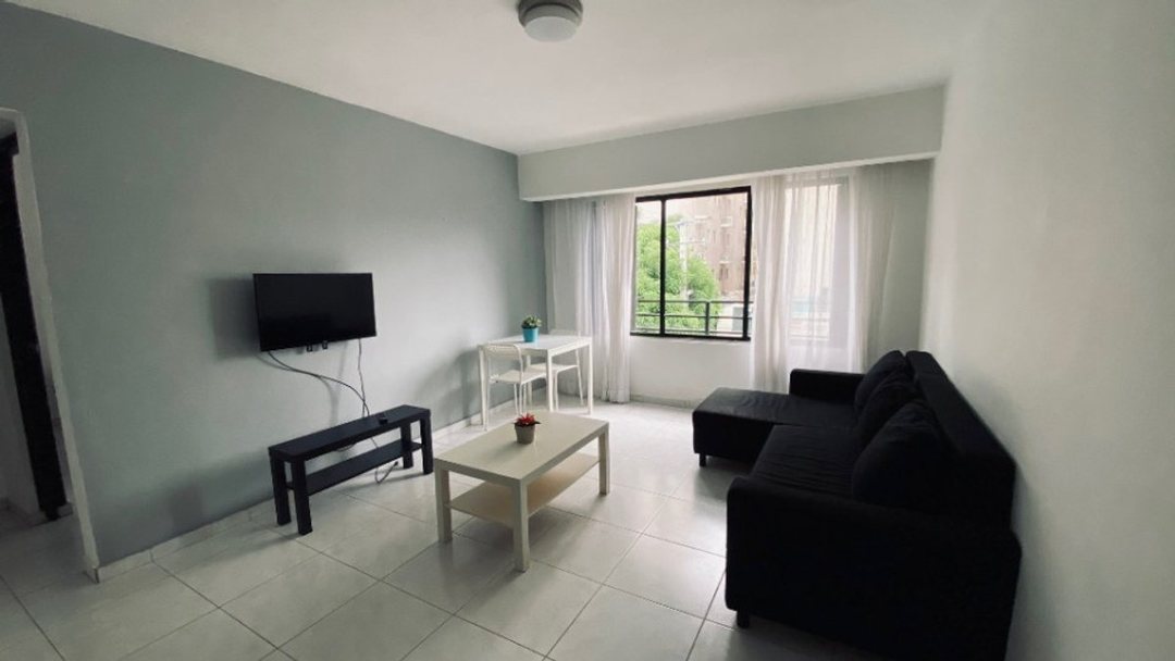 Apartamento en Gazcue, foto 2