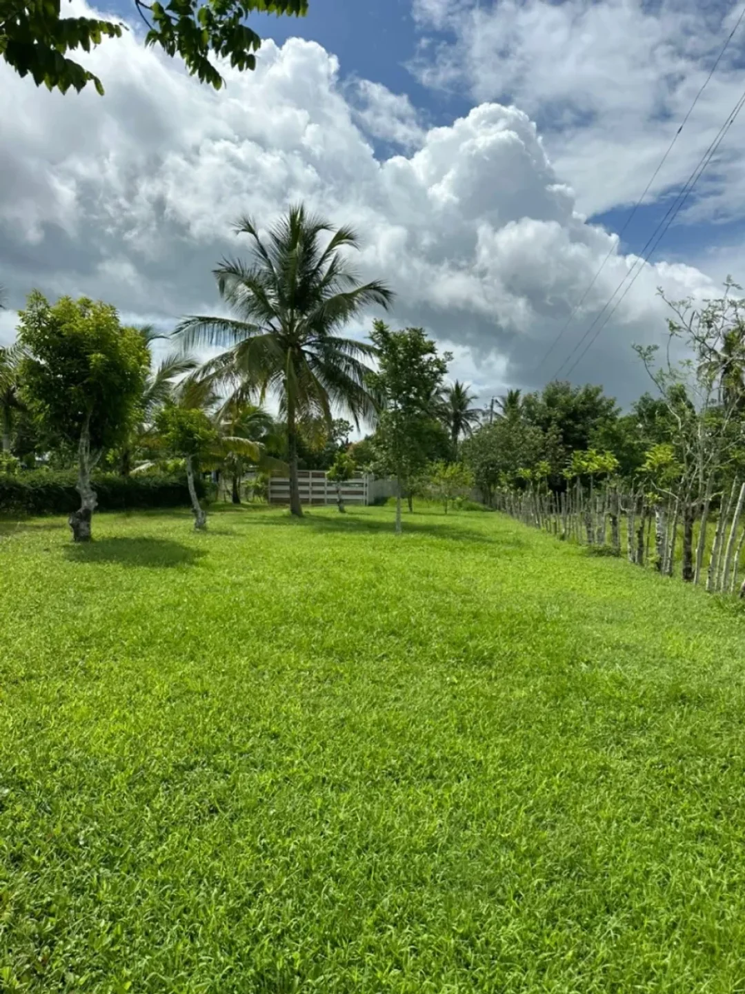 Lot in La Victoria