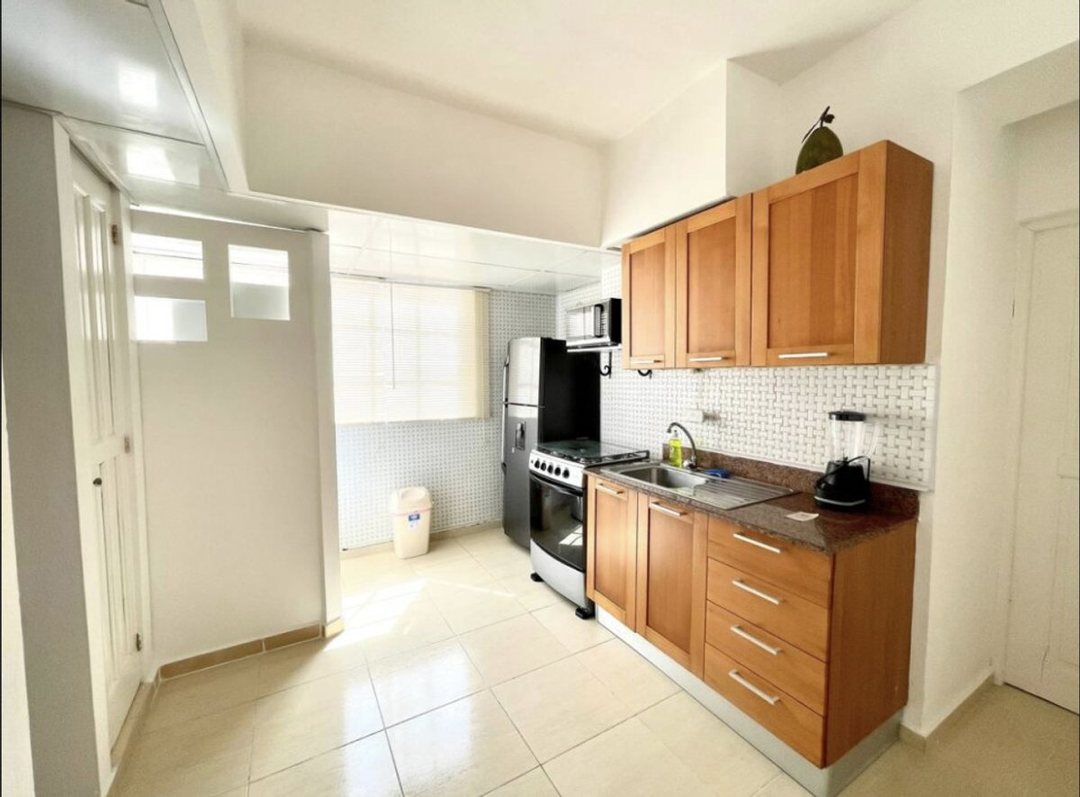Apartamento en Gazcue, foto 4