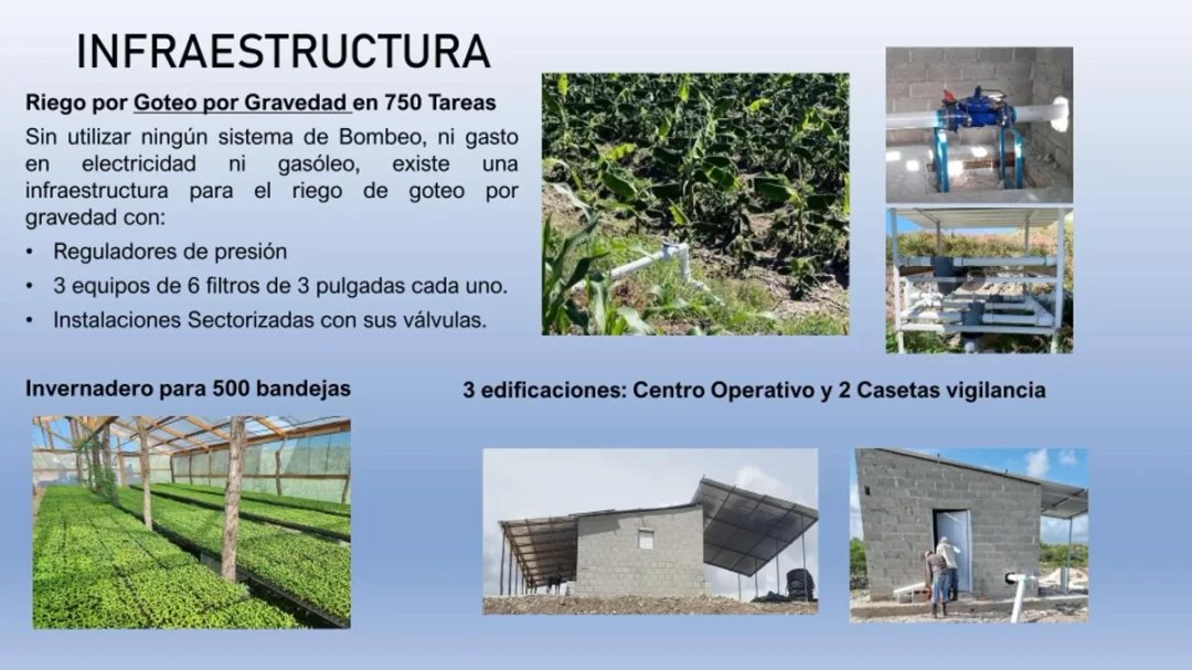 Solar en Azua, Centro, foto 3