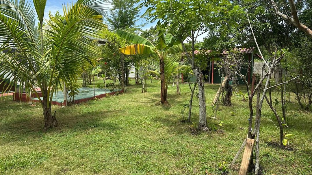 Casa en Las Parras, foto 3