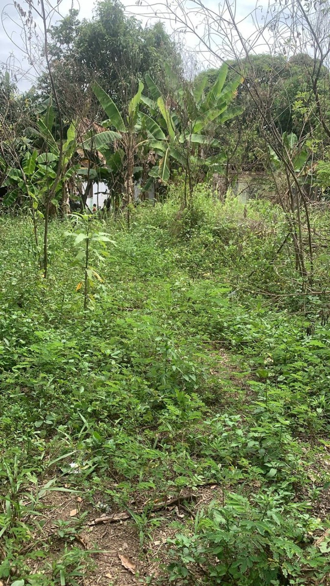 Lot in Residencial Villa España
