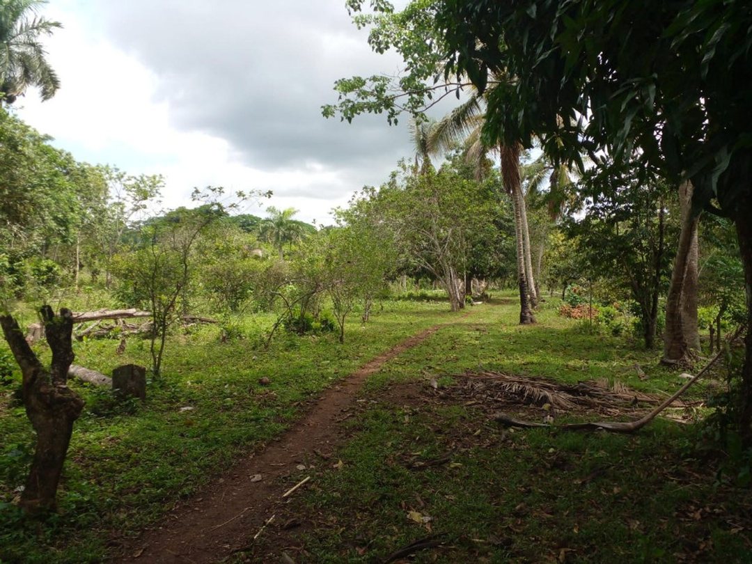 Lot in La Victoria