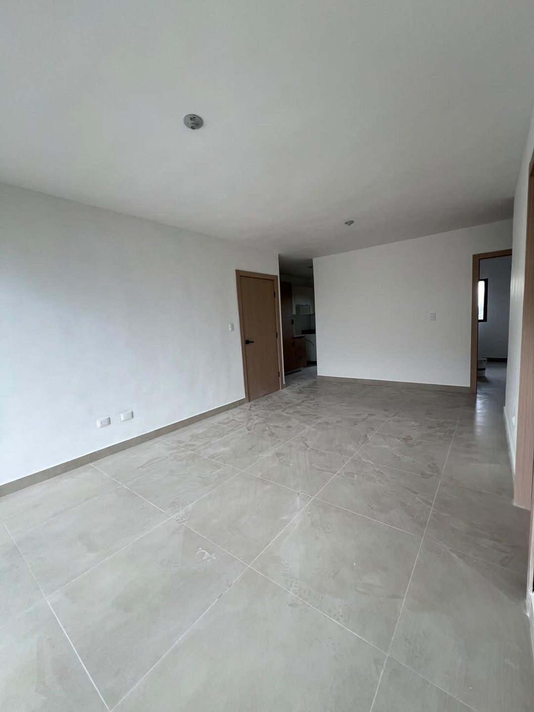 Apartamento en Villa Naco, foto 2