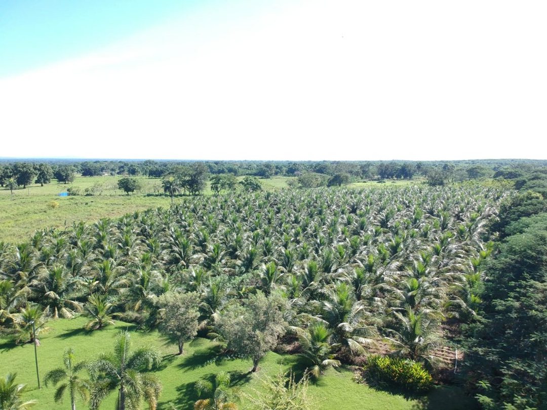 Lot in Mata Redonda