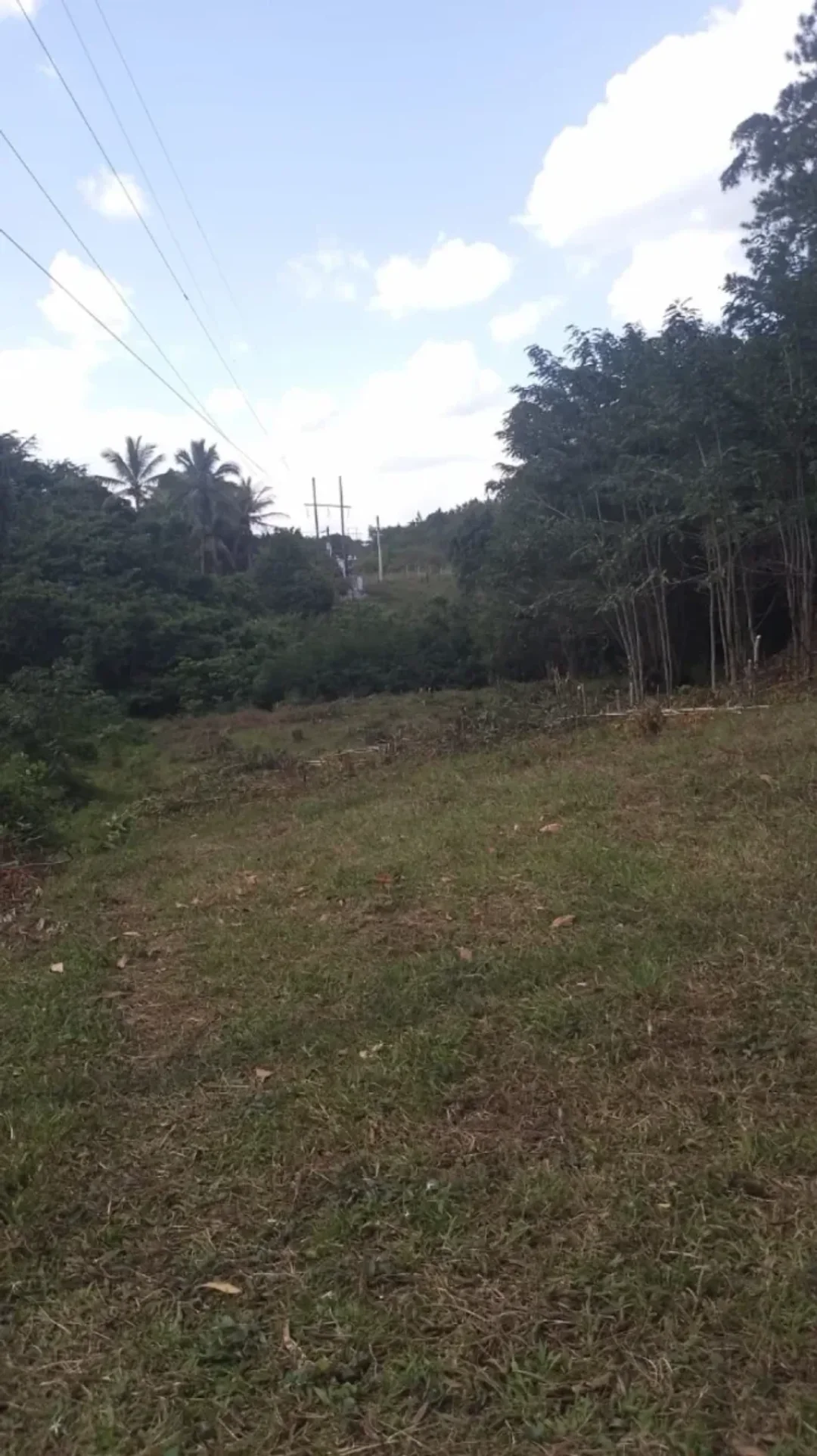 Solar en Piedra Blanca (Centro del Pueblo), foto 5