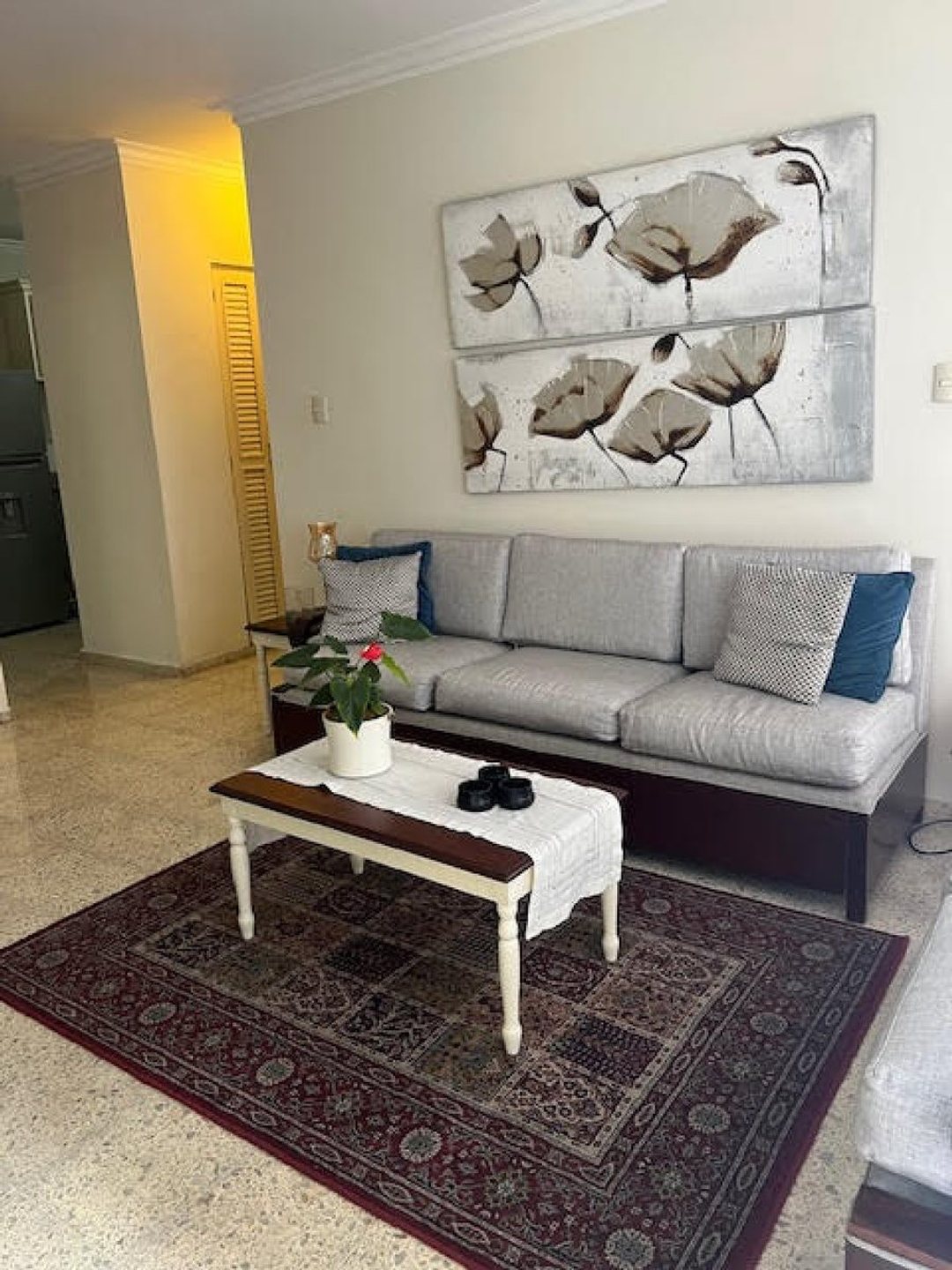 Apartamento en Piantini, foto 2