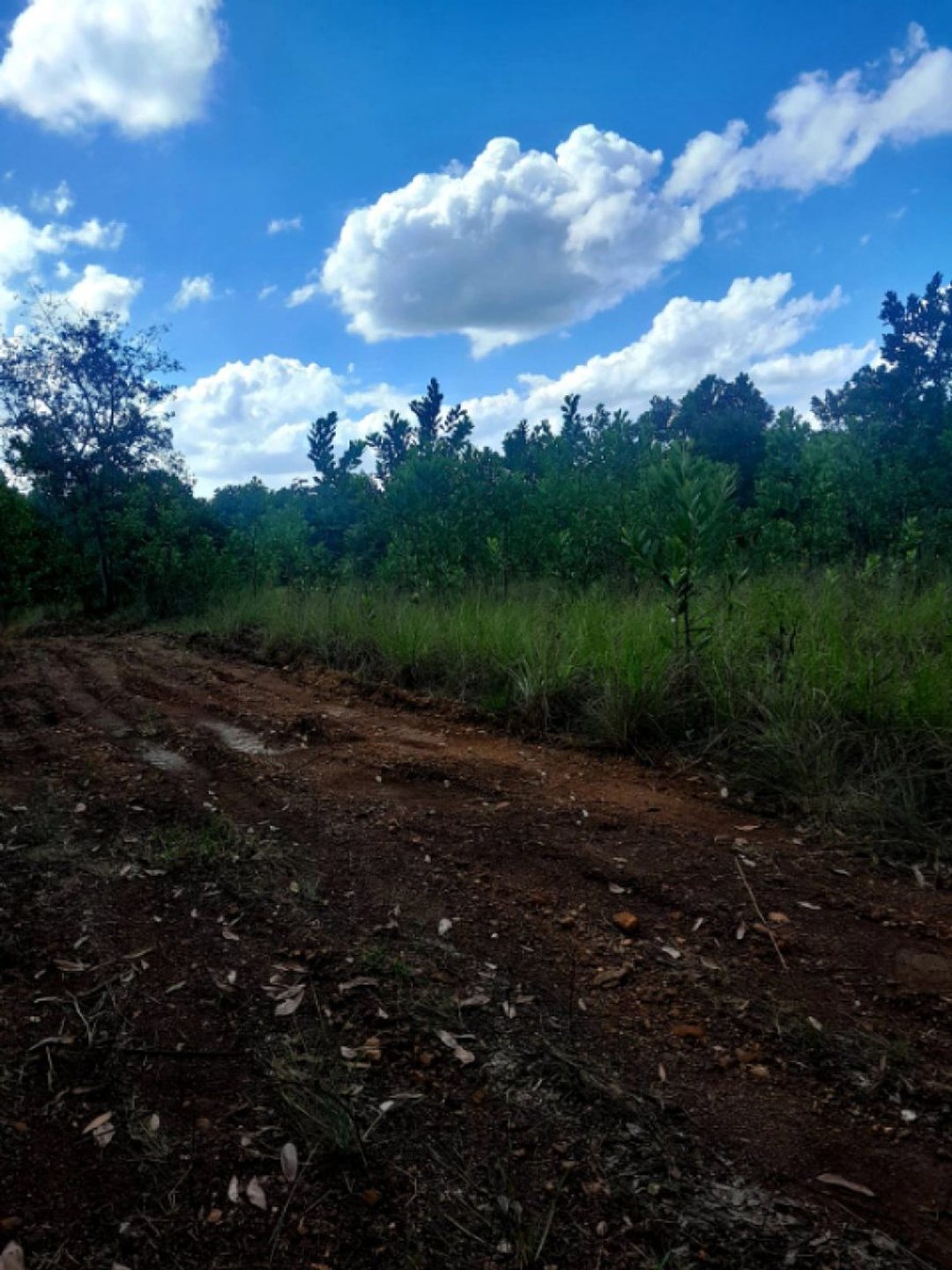 Solar en Higuero, foto 4