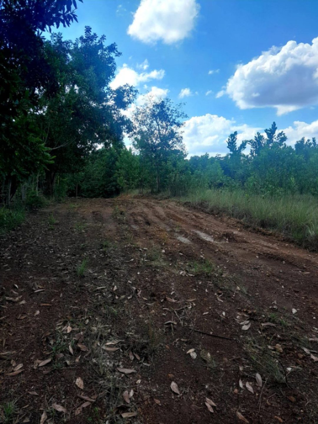 Lot in Higuero