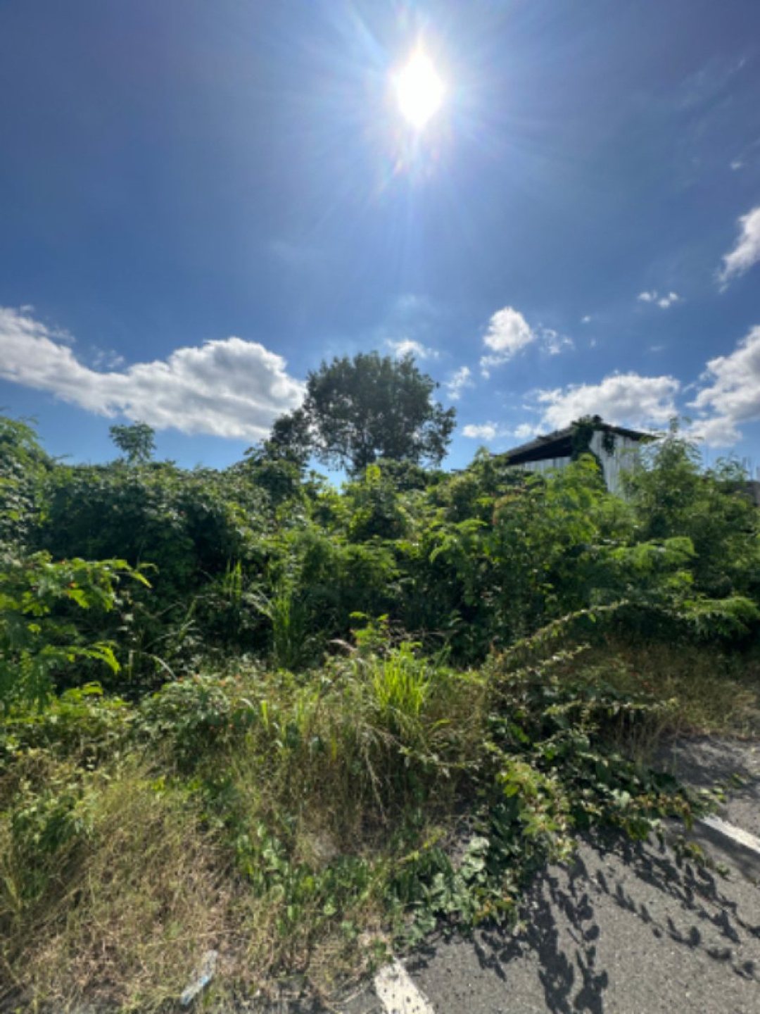 Lot in Metro Country Club