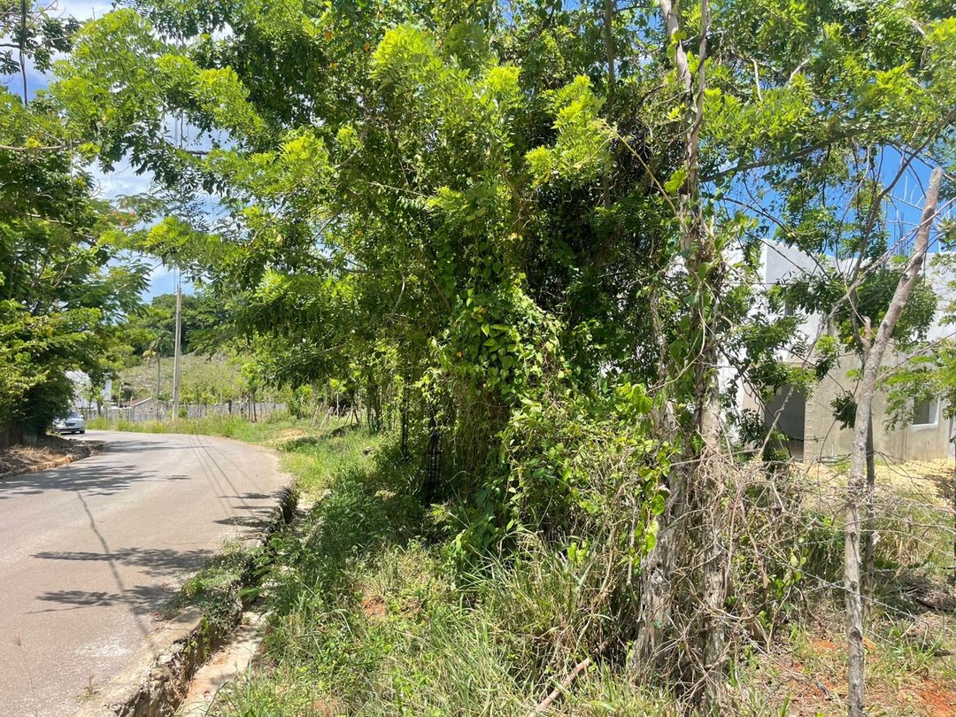 Solar en La Novilla, foto 5