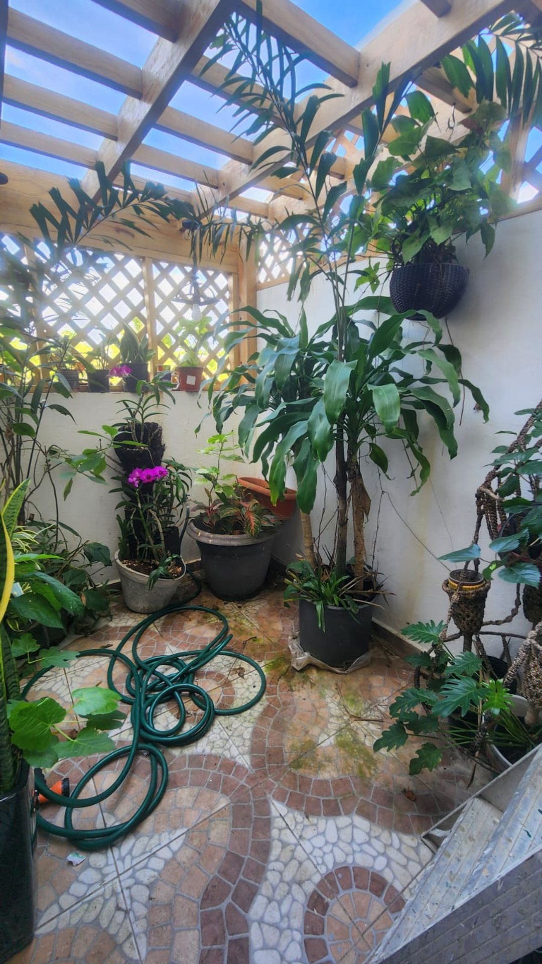 Apartamento en Boca Chica Centro, foto 5
